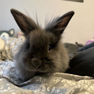 Meet your Posher, Aliaha